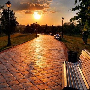 看范冰冰被操的视频
